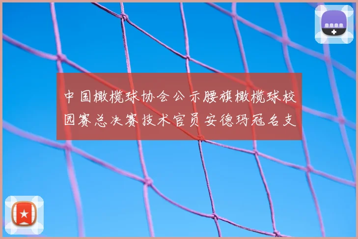 中国橄榄球协会公示腰旗橄榄球校园赛总决赛技术官员安德玛冠名支持