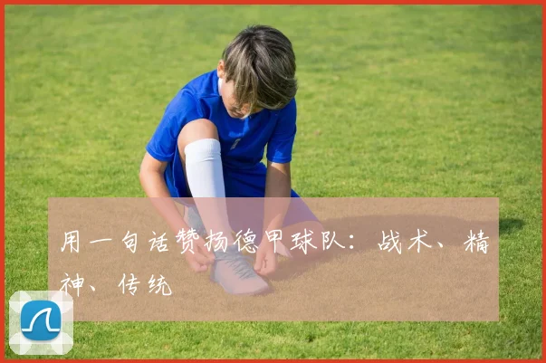 用一句话赞扬德甲球队：战术、精神、传统