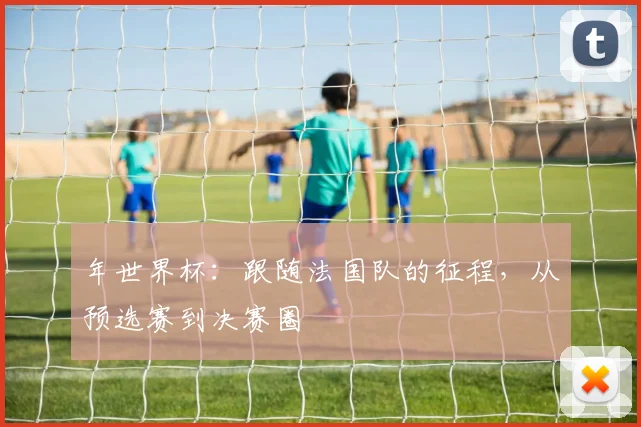 年世界杯：跟随法国队的征程，从预选赛到决赛圈