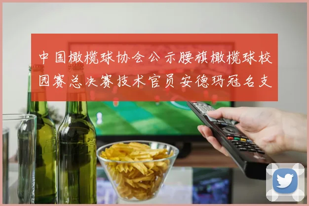 中国橄榄球协会公示腰旗橄榄球校园赛总决赛技术官员安德玛冠名支持