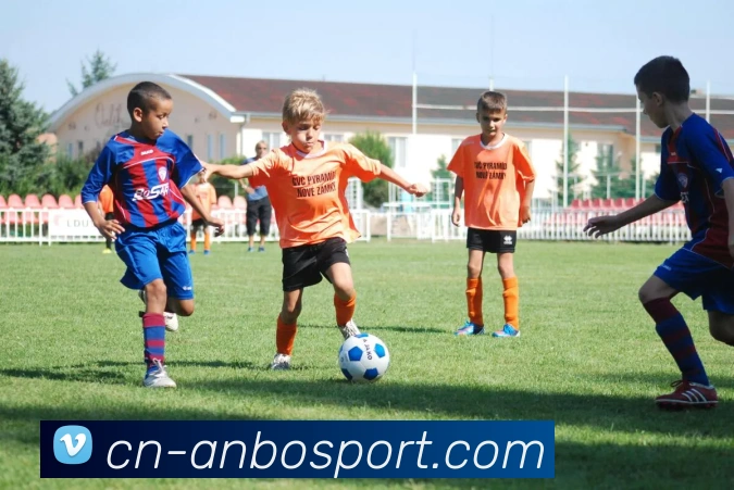 安博体育平台生态图